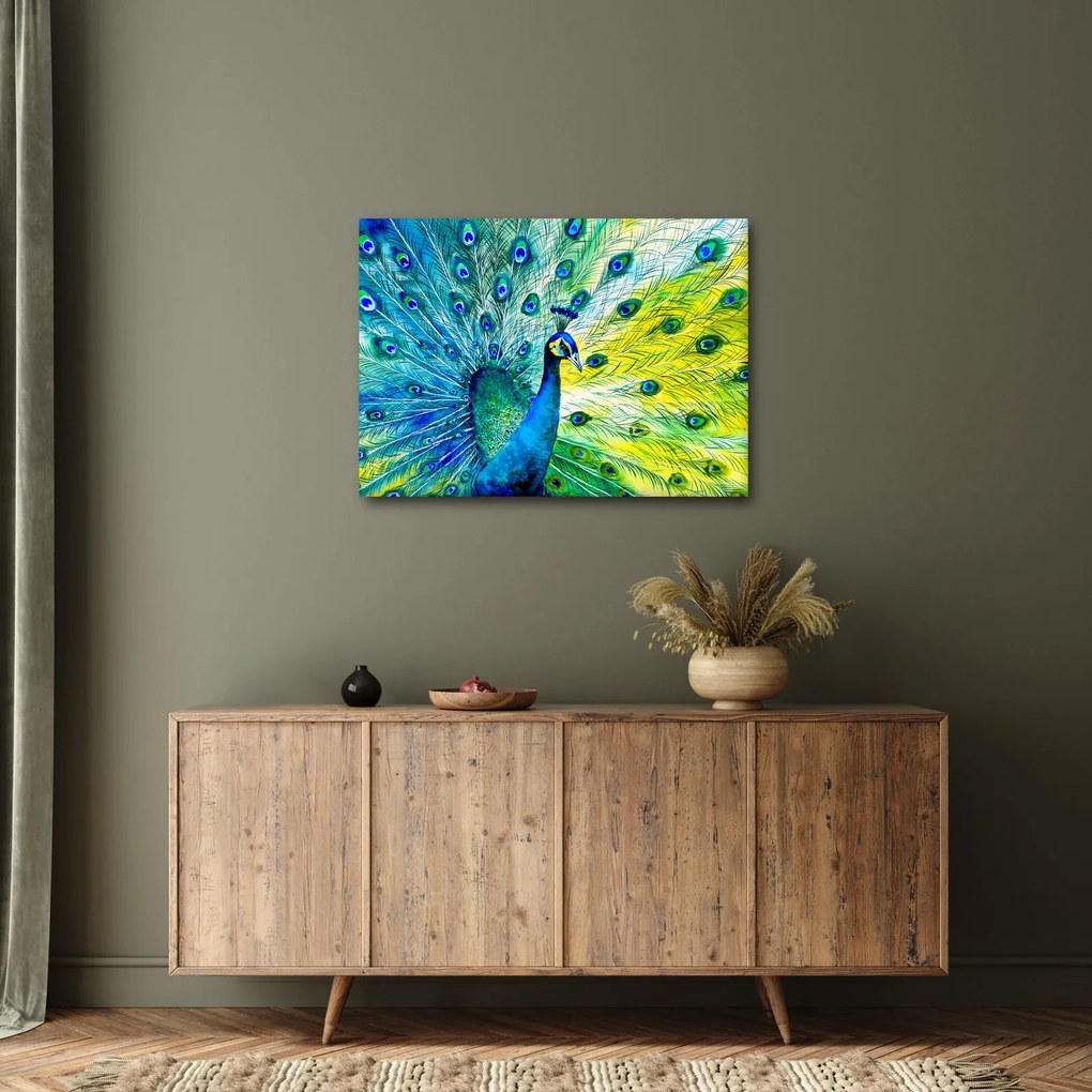 Páva képe (70x50 cm)