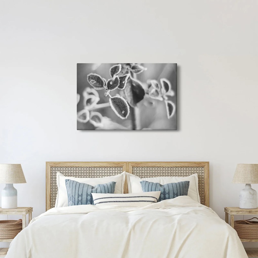 Kép - Őszi természet (90x60 cm)