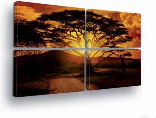 Vászonkép 120x80 Naplemente Afrika szavanna fa magány természet tájkép