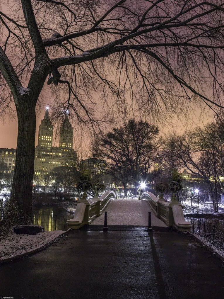 Poszter 30x40cm Esti kilátás a Central Parkra, Assaf Frank