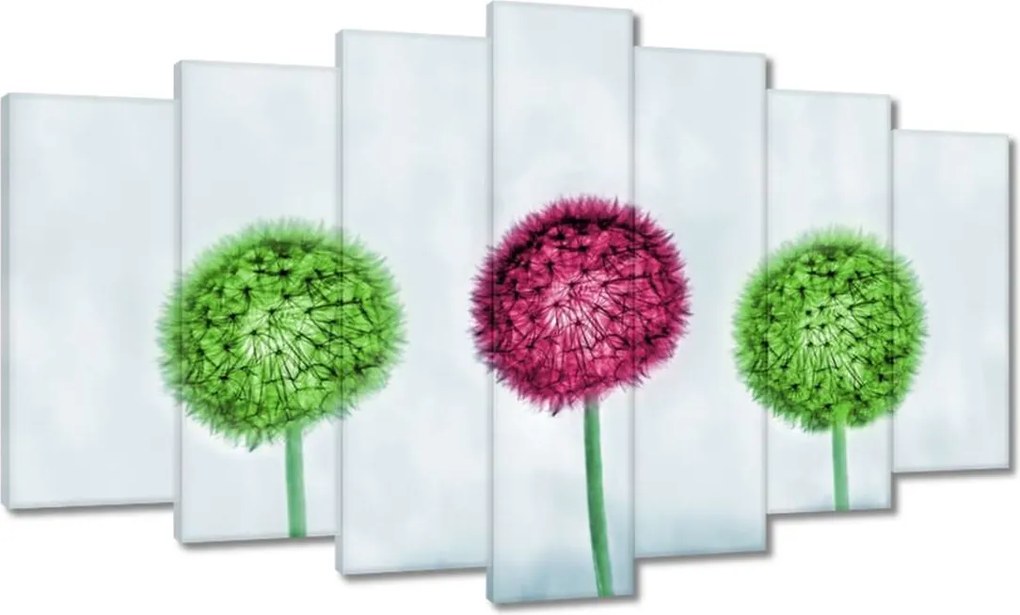 Vászonkép 140x80 Színes pitypangok