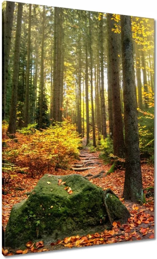 Festmények 70x100 Tájkép