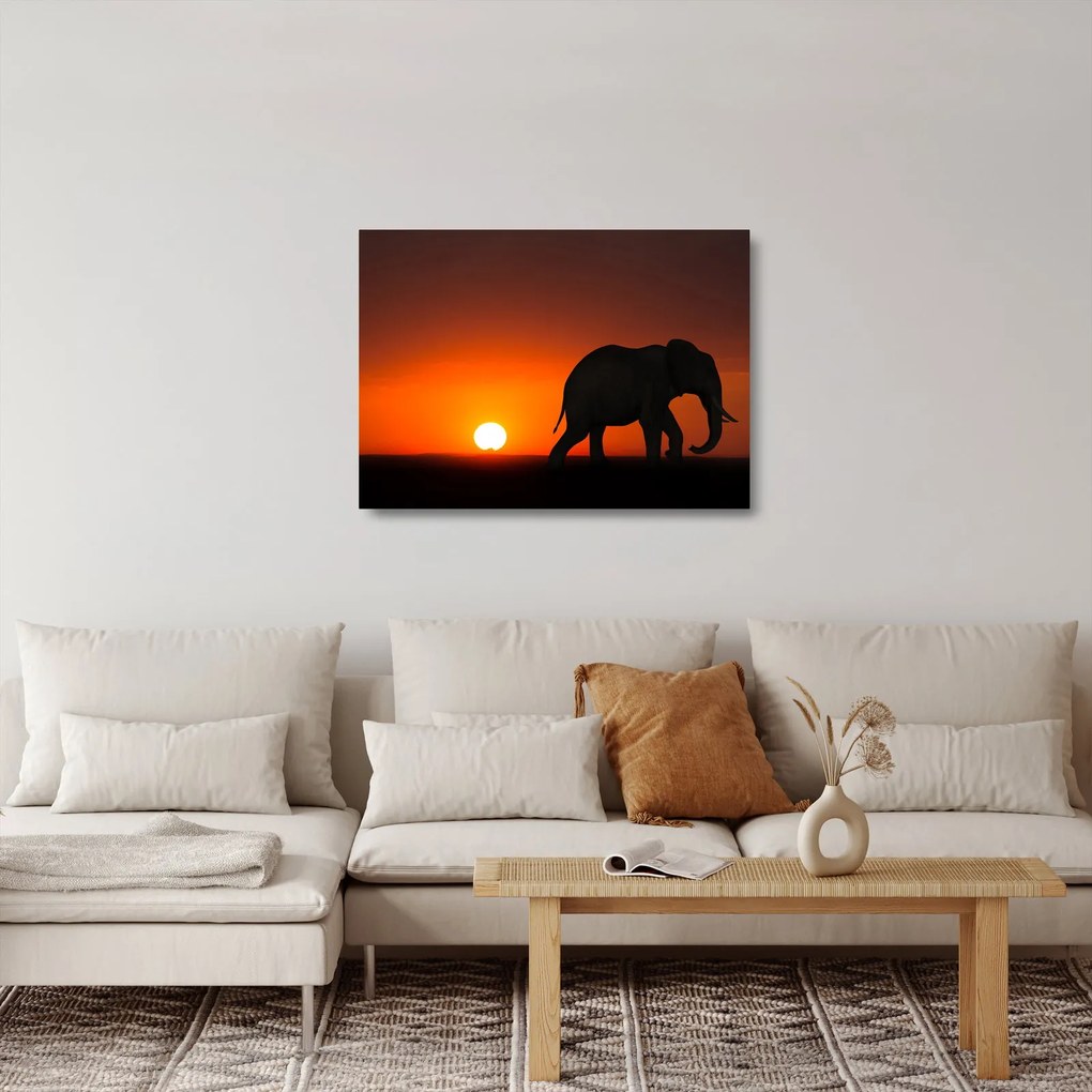 Elefánt képe naplementekor (üvegen) (70x50 cm)