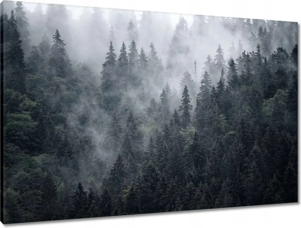 Vászonkép 90x60 Ködös hegyi táj