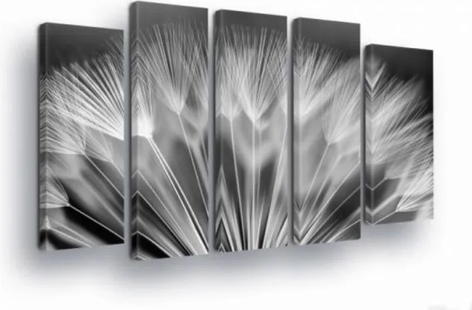 Vászonkép 150x100 Pitypang mag pehely makro természet könnyed nyugalom