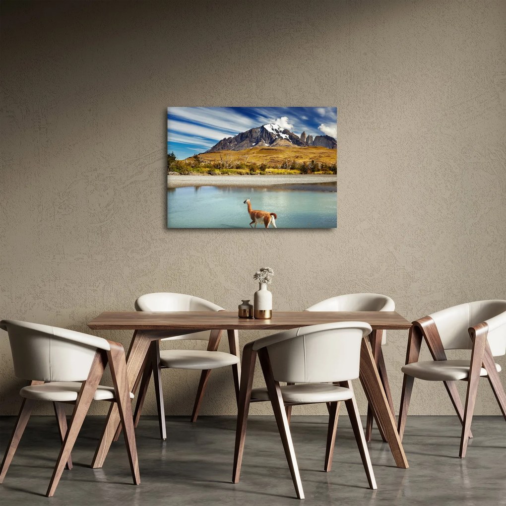 Kép - Torres del Paine Nemzeti Park (70x50 cm)