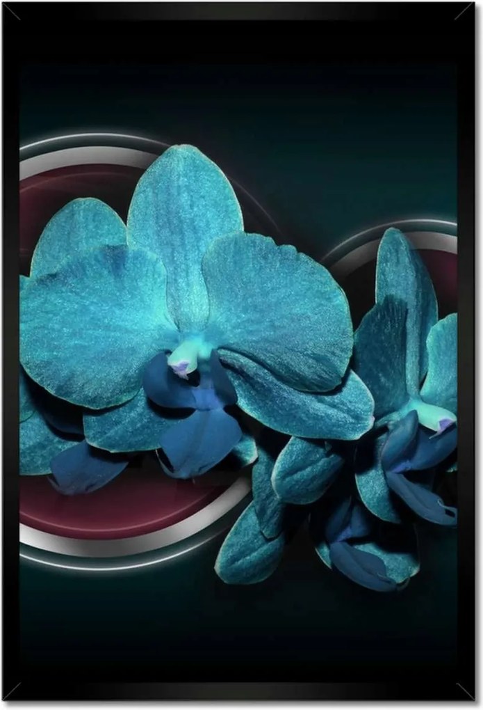 Poszter keretben 40x60 Kék orchidea