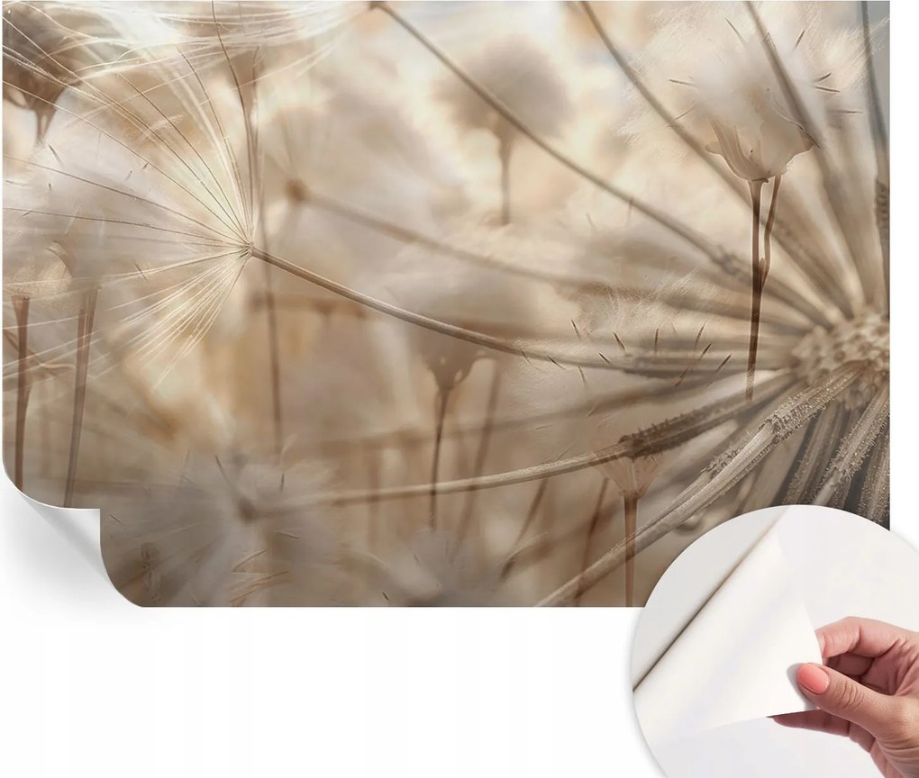 Öntapadós fotótapéta falra 3D Loft Finom pitypangok 152x104 cm