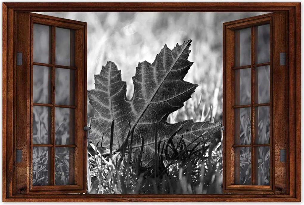 Plakátok 120x80 Őszi levél a füvön