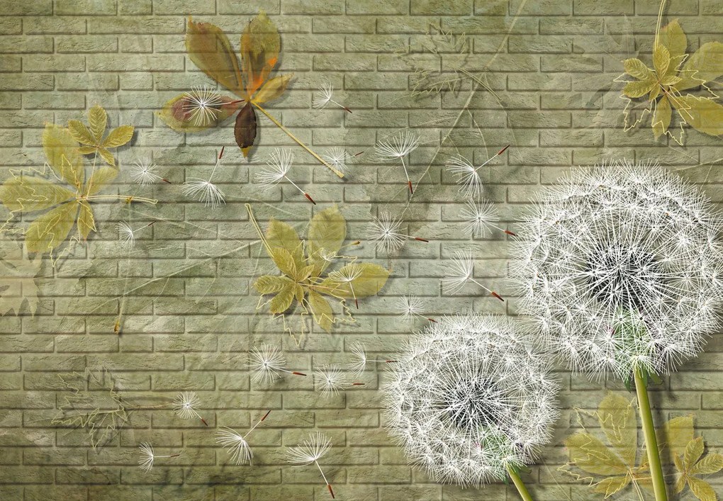 Fotótapéta - A szél által fújt pitypang (147x102 cm)