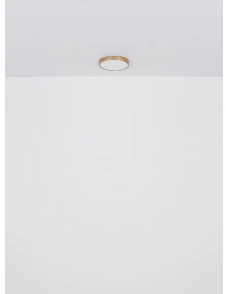 Globo 12381-30 - LED Mennyezeti lámpa TIBEY LED/30W/230V átm. 45 cm