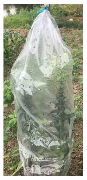 Kerti ponyva szett 5 db-os – Garden Pleasure