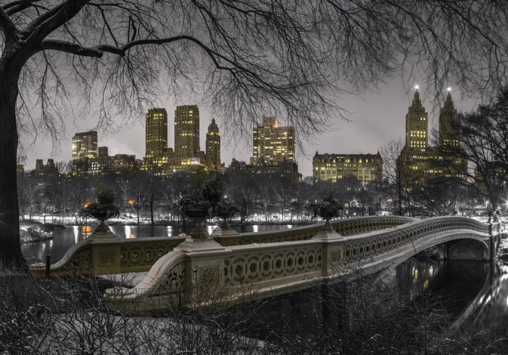 Poszter 100x70cm Központi park Manhattan panorámával, Assaf Frank