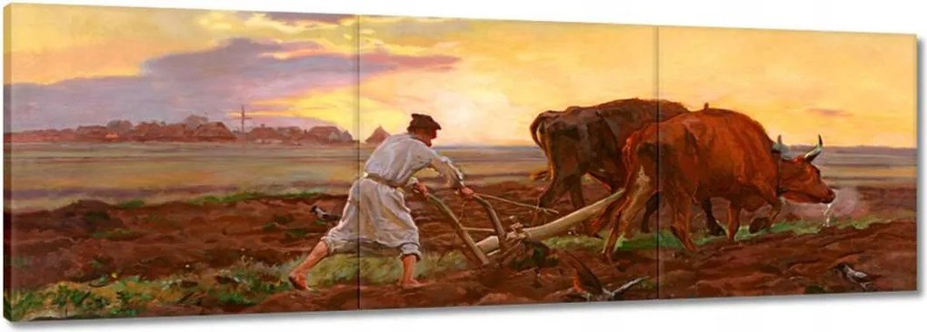 Vászonkép 60x20 Csongrád megyei falu