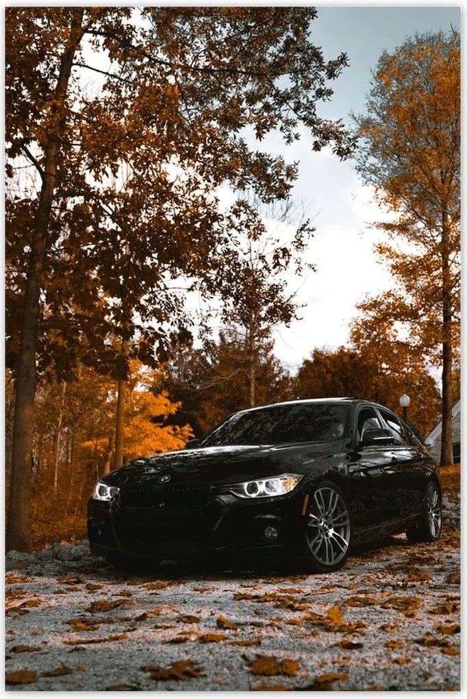 Poszterek 80x120 Fekete Bmw Ősz