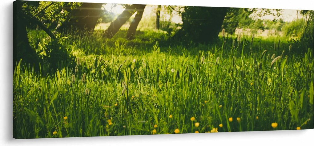 Tájkép - rét (120x50 cm)
