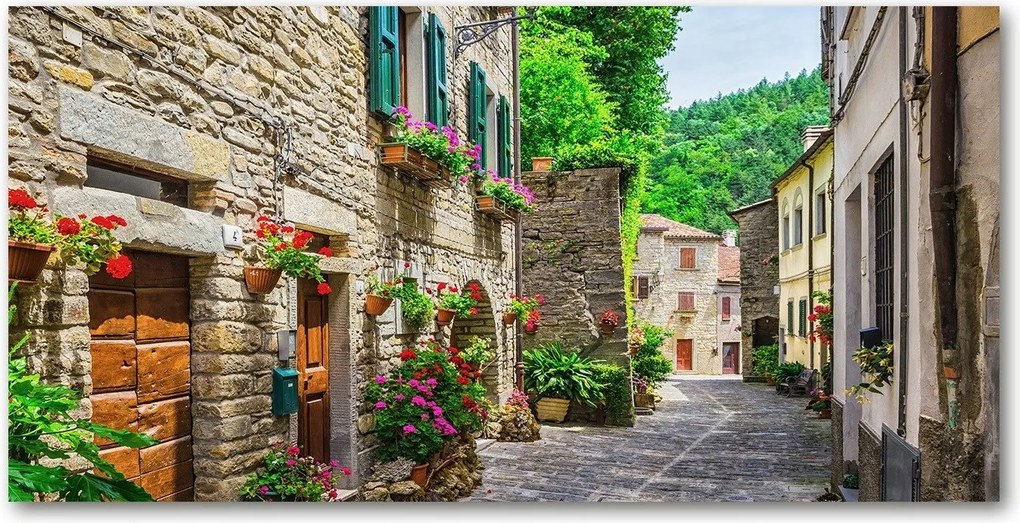 Fotó üvegkép Bájos utca 140x70