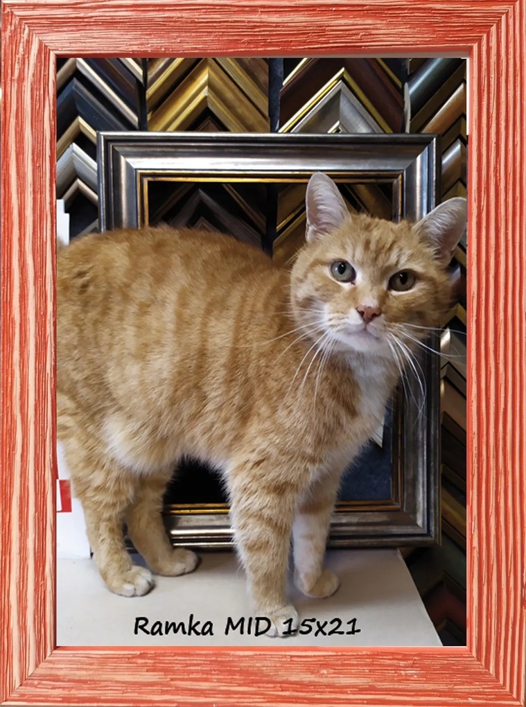 Klasszikus képkeret falra és asztalra, 15x21 cm, fa