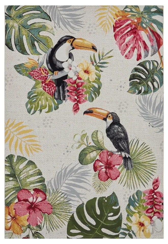 Kültéri szőnyeg 120x180 cm Flair – Hanse Home