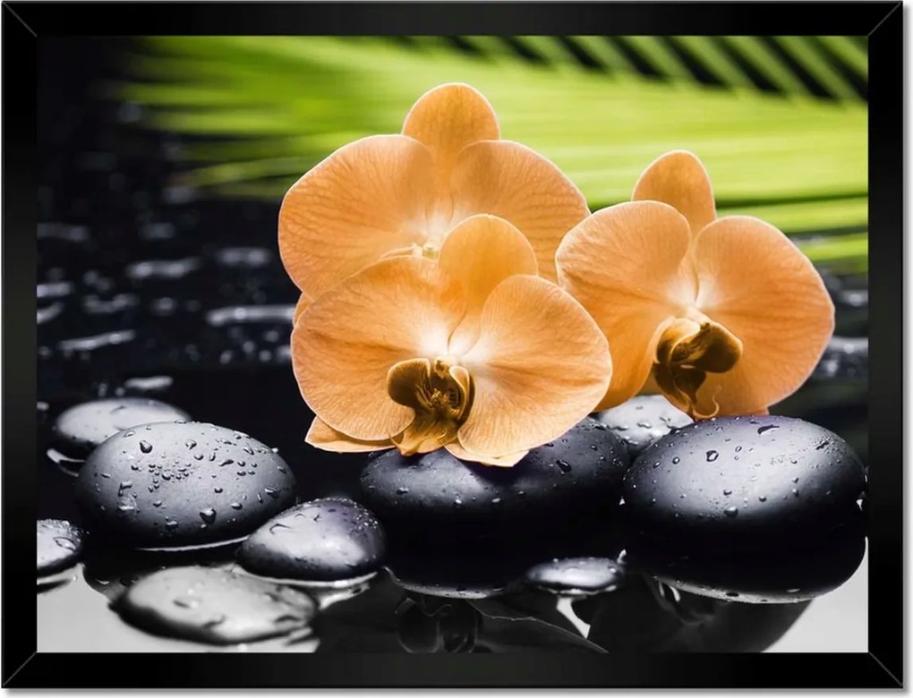 Poszterek keretben 40x30 Narancssárga orchideák