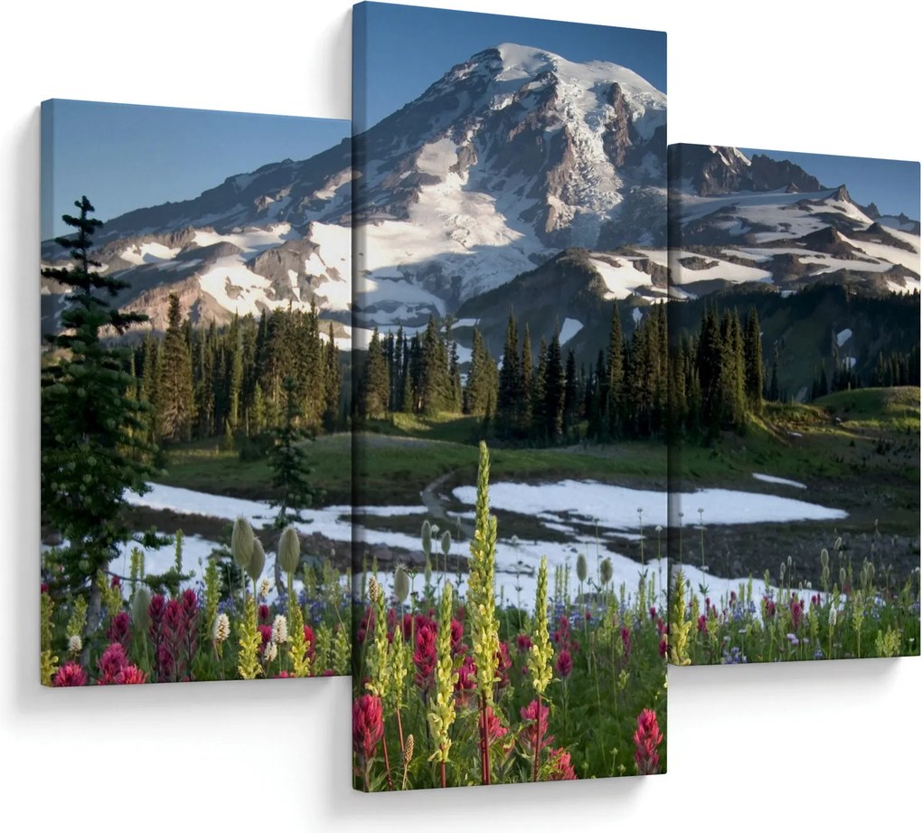 Kép - Mount Rainier (90x60 cm)