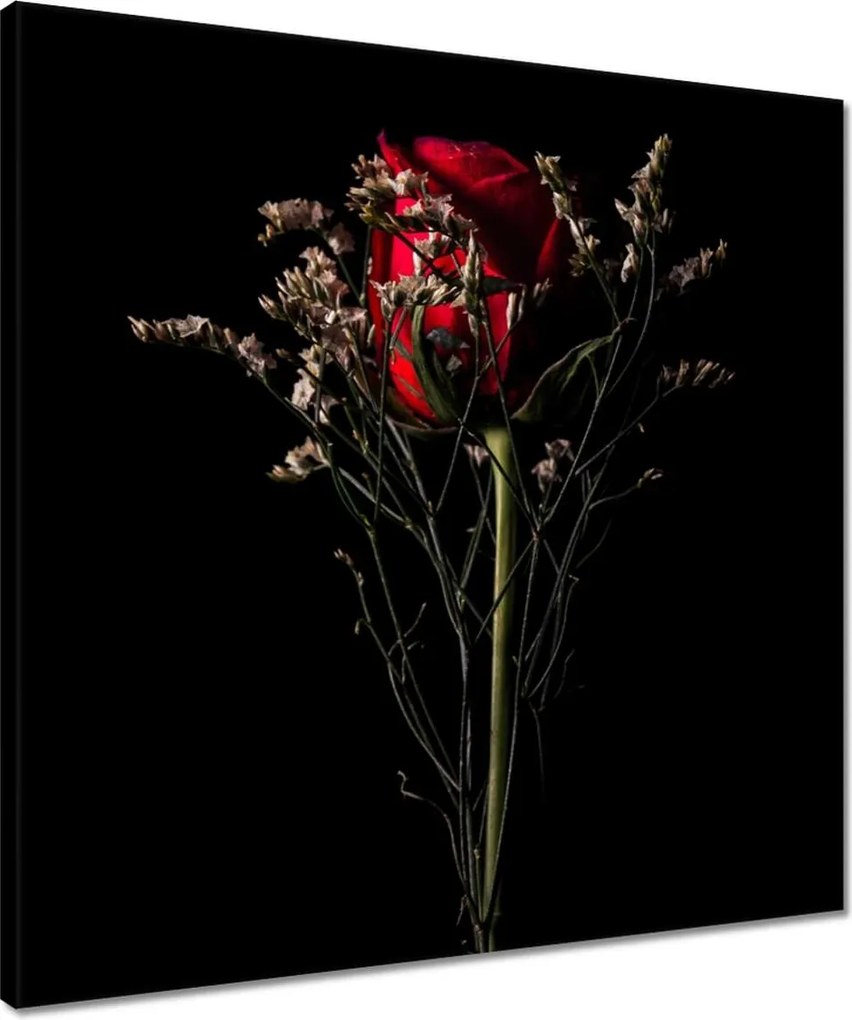 Vászonkép 50x50 Rózsa Virág Virágok Rózsa