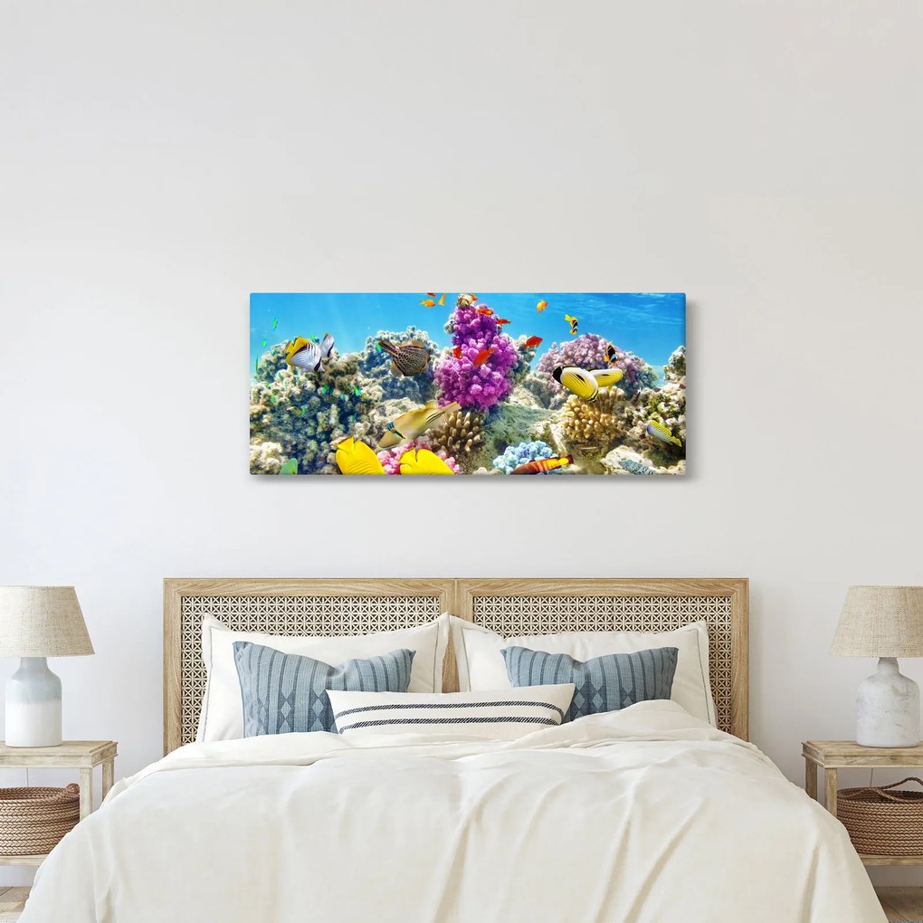 Kép - A tenger világa (120x50 cm)