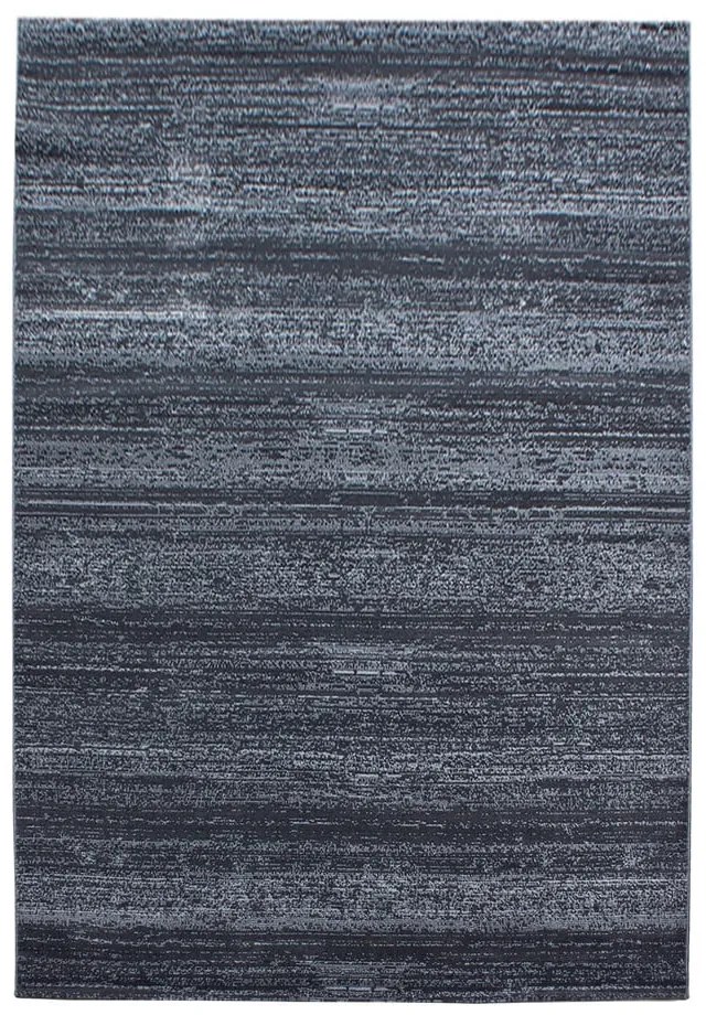 Szürke szőnyeg 80x150 cm Plus – Ayyildiz Carpets
