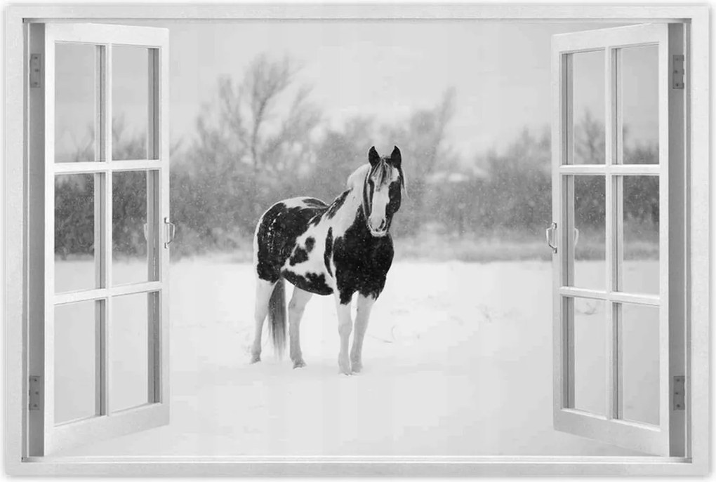 Poszterek 90x60 Ló Fekete-fehér poszter