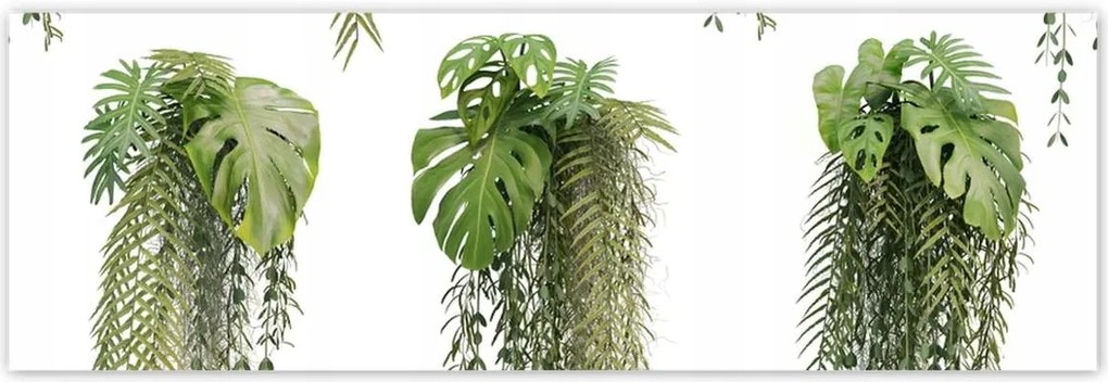 Poszterek 200x66 Monstera Lyukas levelek