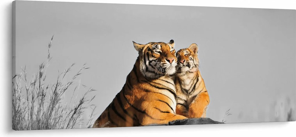 Kép - Tigris és a kölyke, fekete-fehér változat (120x50 cm)