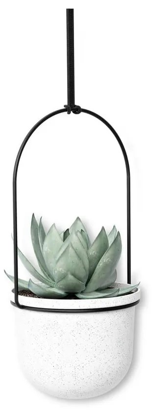 Műanyag függő kaspó szett fűszernövényekhez, 5 db-os ø 7,5 cm Triflora – Umbra