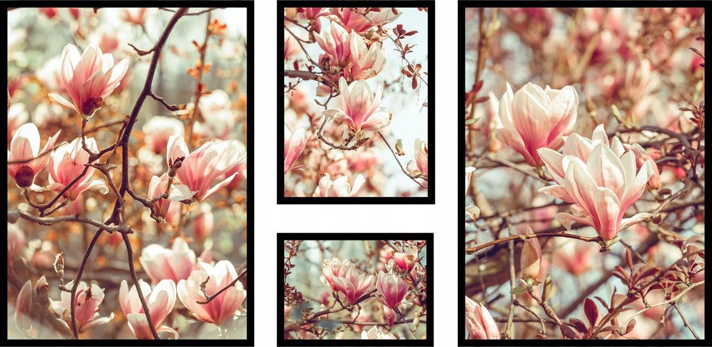 Magnólia virágok poszter XXL fa szett otthonra