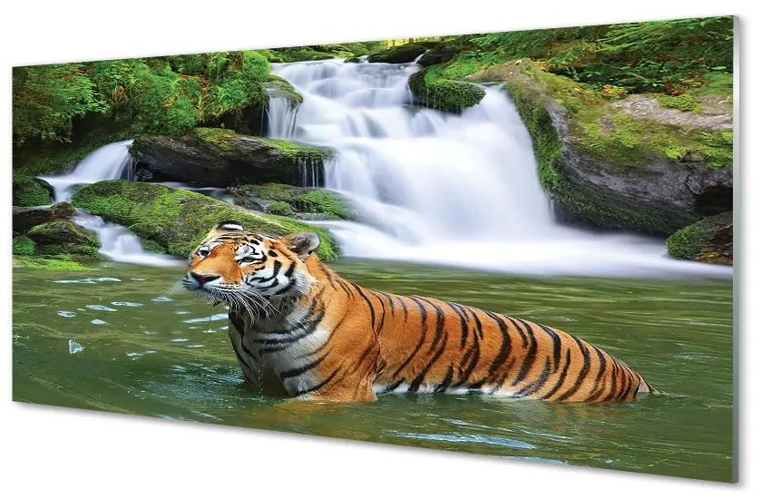 Üvegképek tigris vízesés 140x70 cm