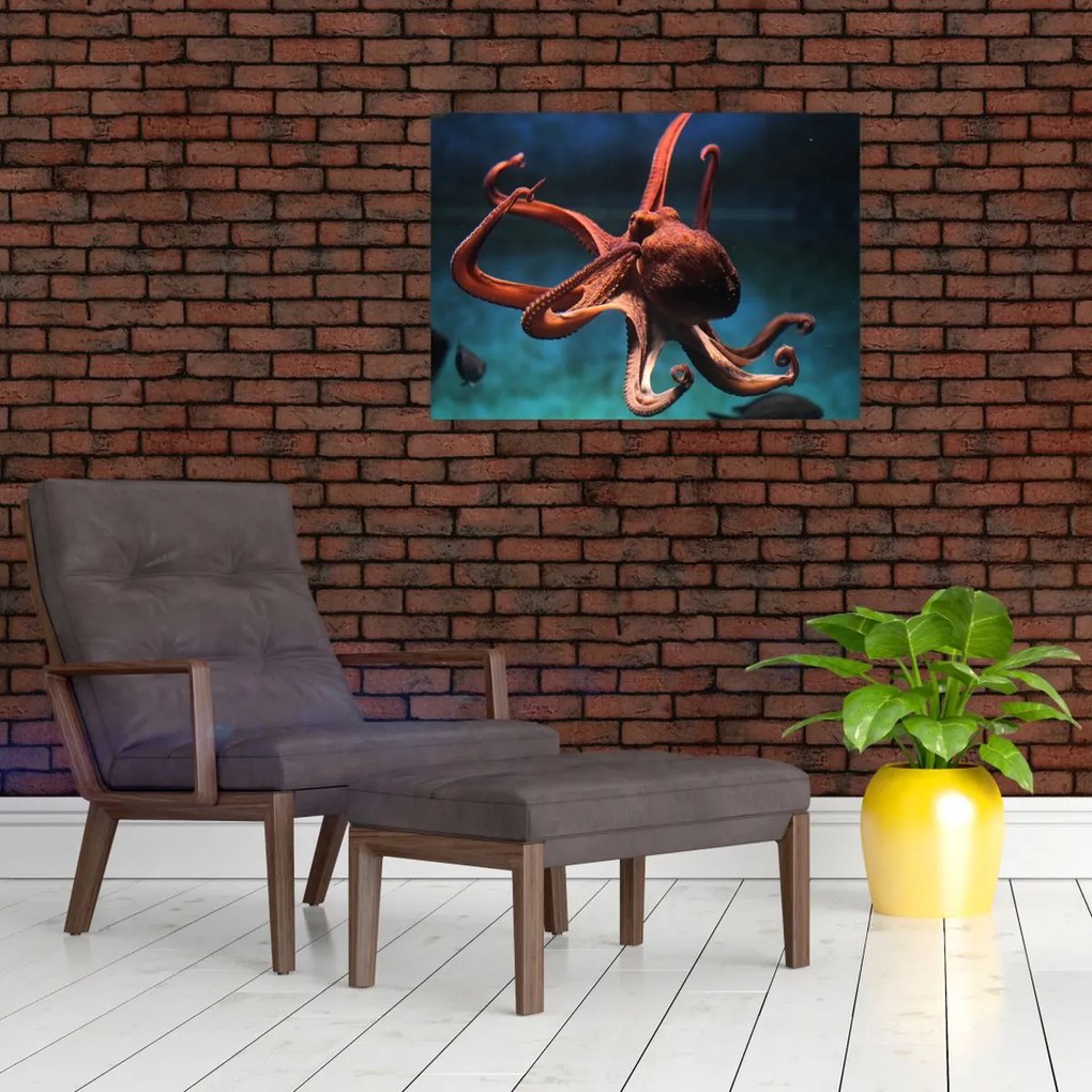 Üveg kép - Octopus (70x50 cm)