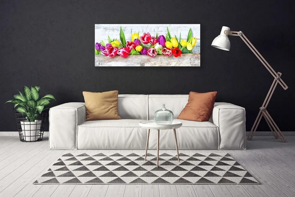 Canvas kép Tulipán virágok természet 125x50 cm