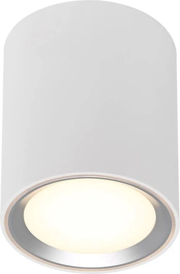 NORDLUX 47550132 FALLON Hengeres Mennyezeti Lámpa Fehér, Acélos LED IP20