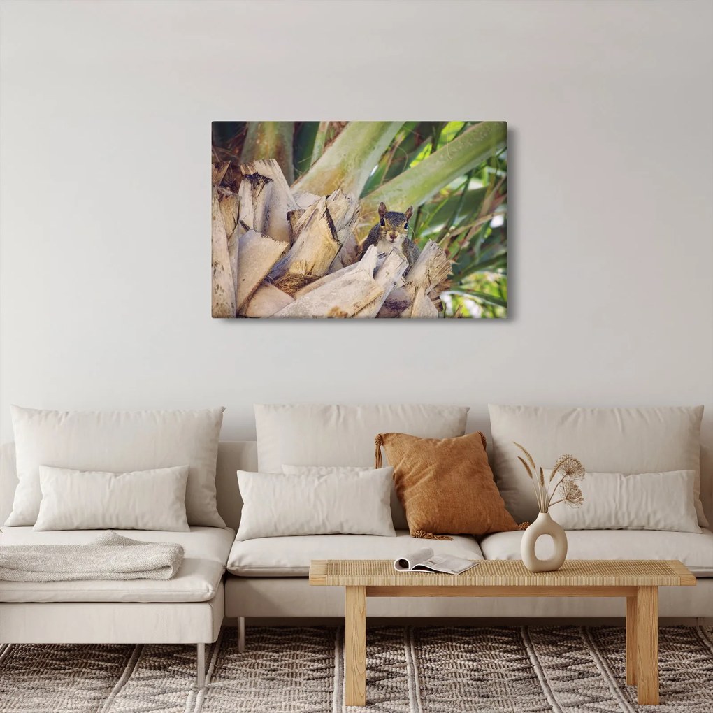 Mókus képe a fán (90x60 cm)