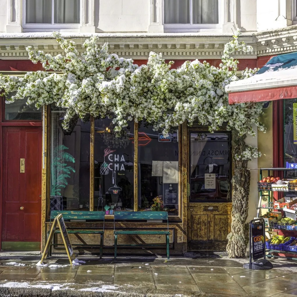 Poszter 30x30cm Maida Vale a hóban 2, Assaf Frank