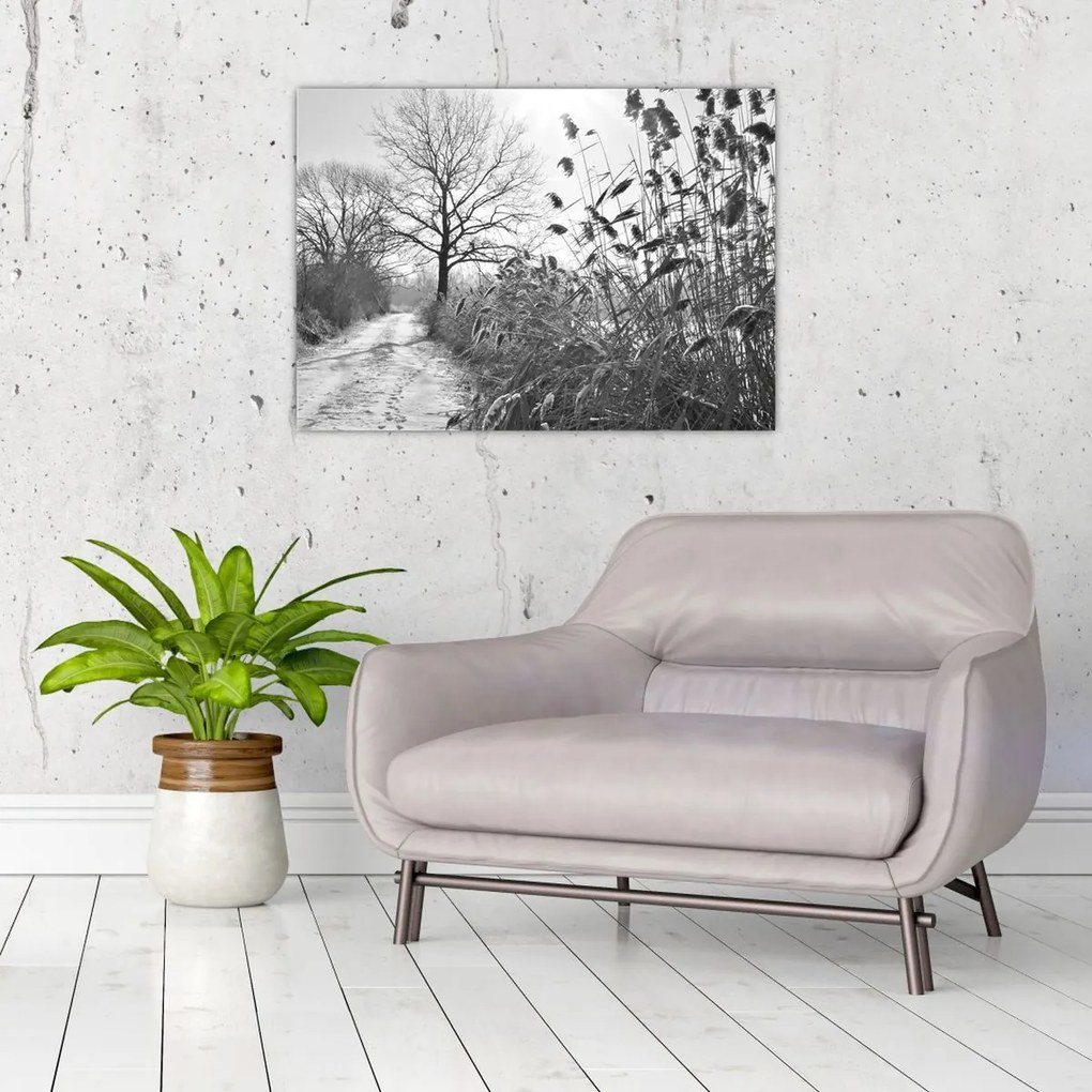 Üveg kép - Mezők télen (70x50 cm)