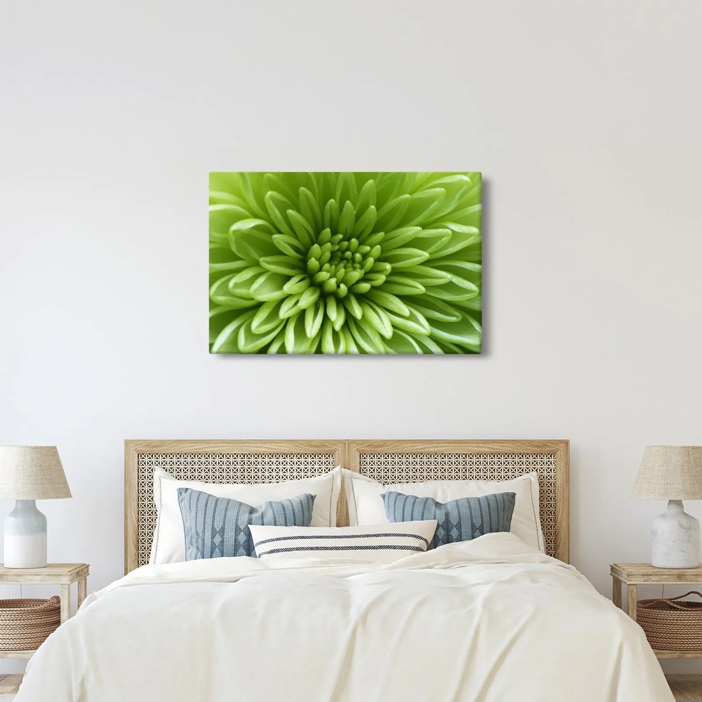 Kép - Makro kép egy növényről (90x60 cm)