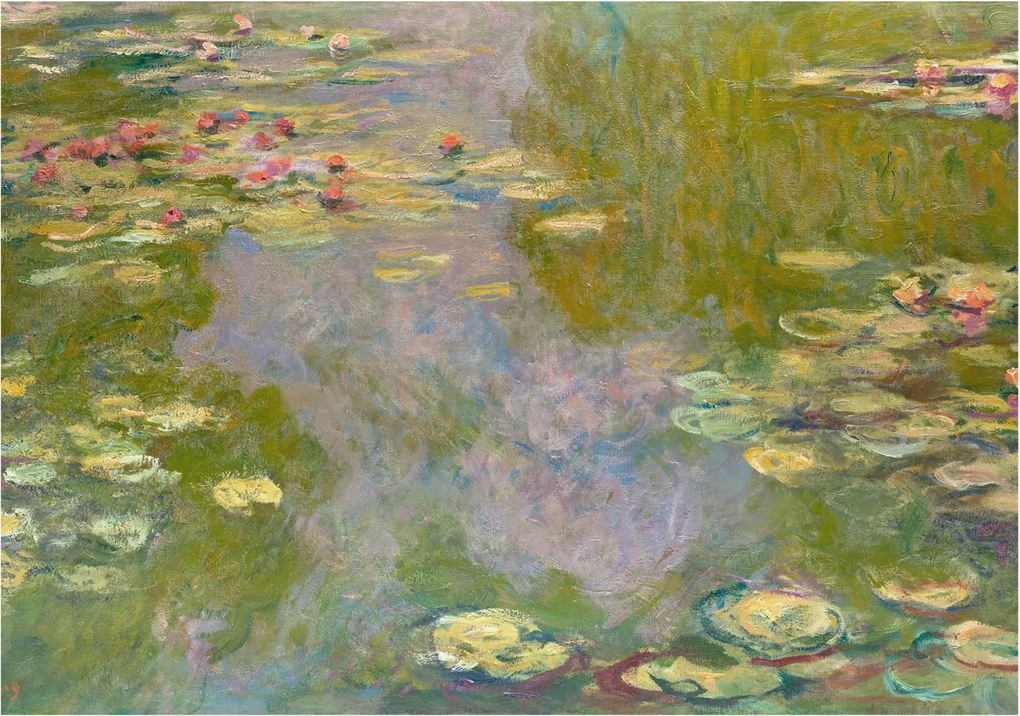 Fotótapéta Dekoratív Fali Tapéta Képek Vízi liliomok 312x219