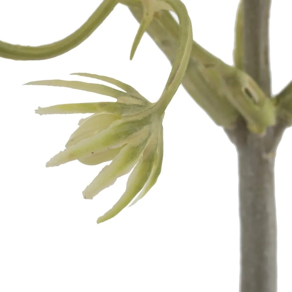 Mű ág (magasság 55 cm) – Ixia