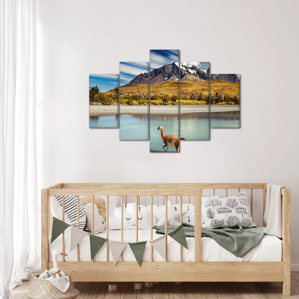 Kép - Torres del Paine Nemzeti Park (150x105 cm)