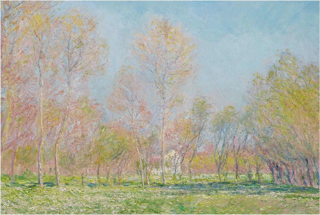 Flizelin fotótapéta Flizelin Design Tavaszi park 104x70 Ragasztó