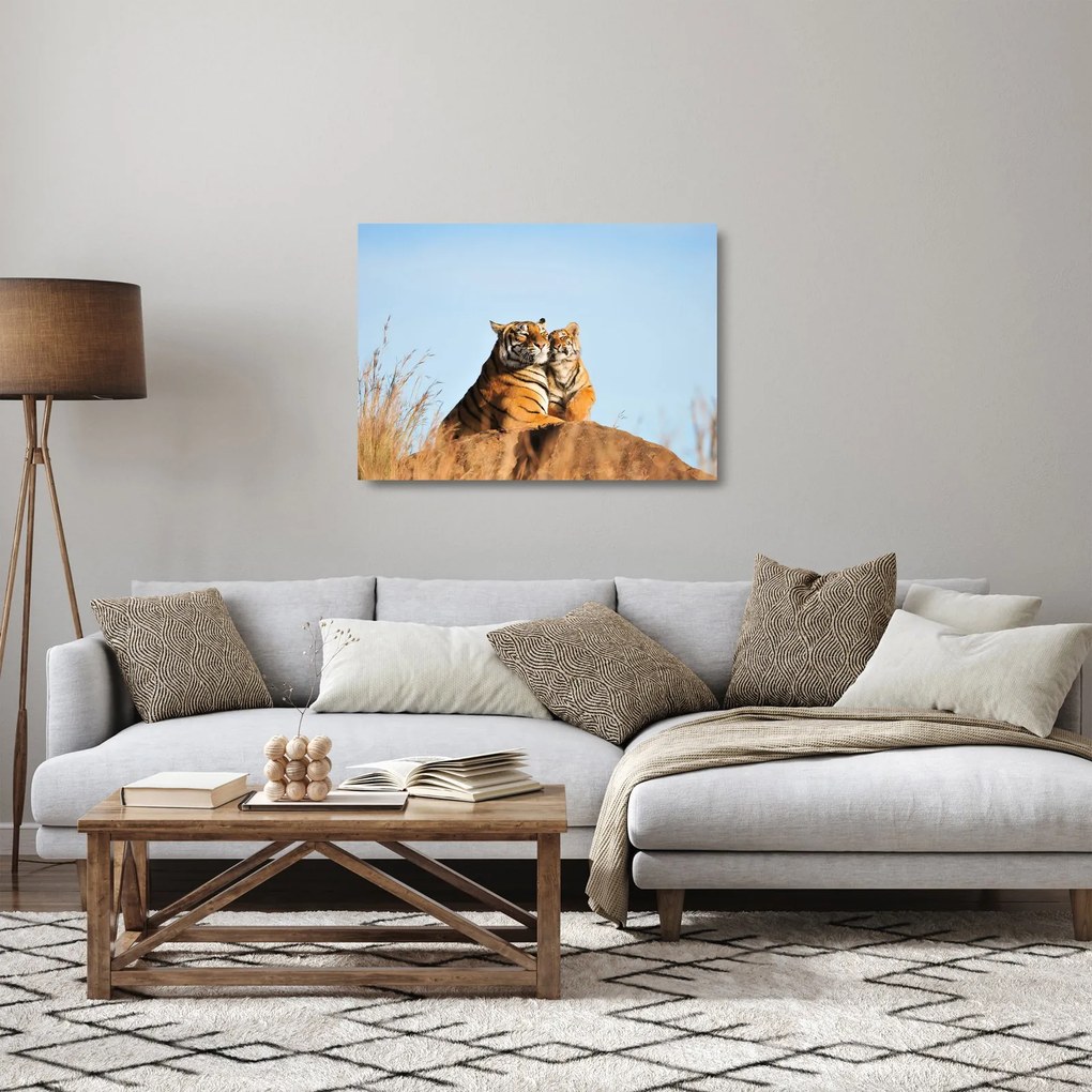 Kép - Tigris és a kölyke (üvegen) (70x50 cm)