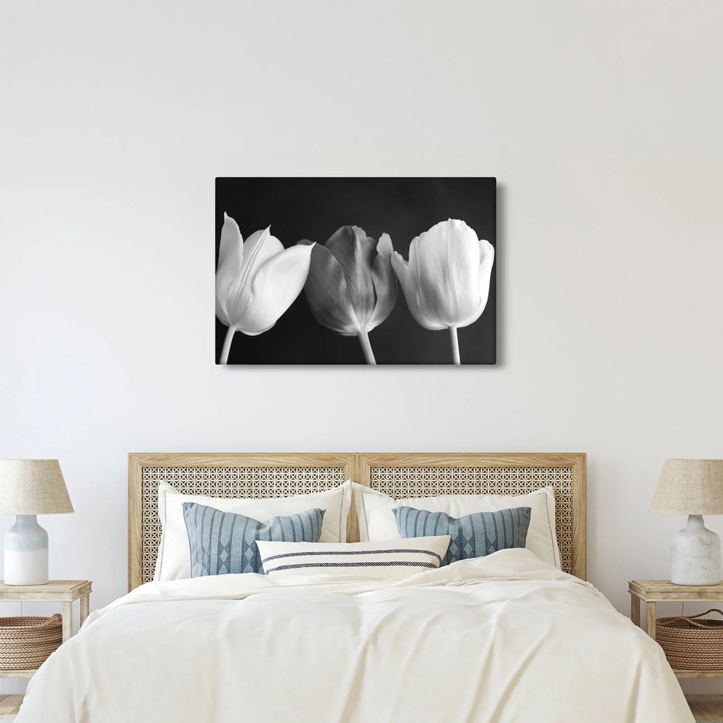 Kép - fekete-fehér tulipán virág (90x60 cm)