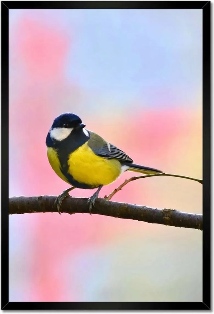 Poszter keretben 40x60 Sárga madár