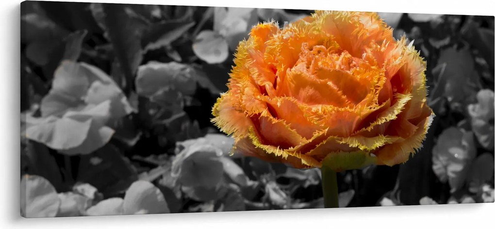 Virág képe (120x50 cm)