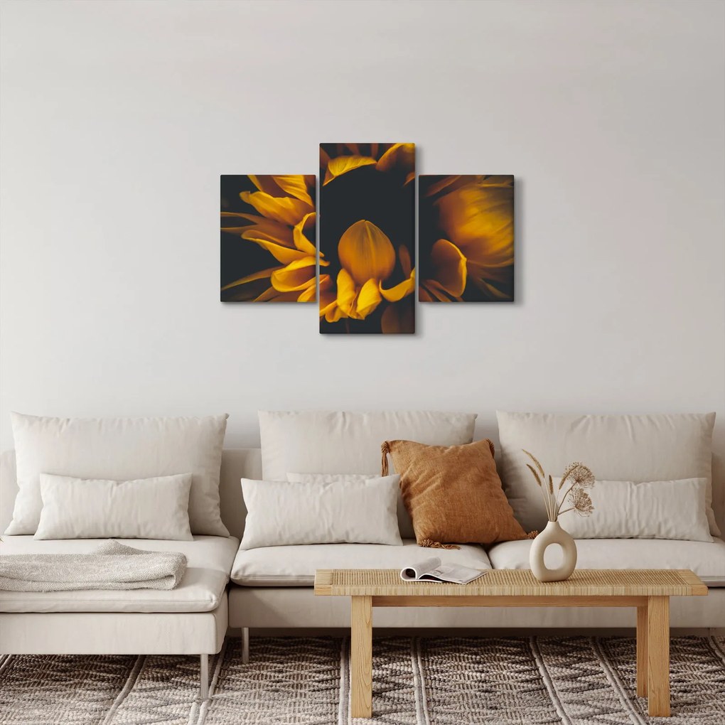 Kép - Napraforgó fekete háttérben (90x60 cm)